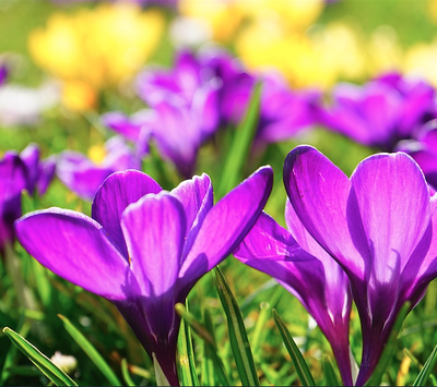 Bli med i vår vervekampanje!